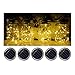 Fanme Solar Mason Jar Lights Lids 5 Pack 10 LED Fairy String Light Screw Inserts for Mason Jar Charismas Wedding Garden Patio Path Home Décor Tree Jar Lantern Decorative Lighting Warm White