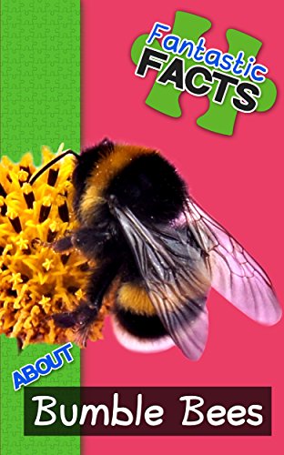 Fantastic Facts About Woodpeckers: Illustrated Fun Learning For Kids