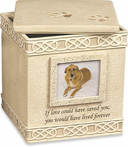 MMP Living Pet Urn Memorial If Love Could Have Saved You. - Top Opening