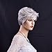 Women Wigs Gray Short Curly Natural Heat Resistant Synthetic Hair Wigs 10 Inch for Old Women Elderly Ladies