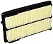 Genuine Honda 17220-5G0-A00 Air Cleaner Element Assembly primary