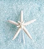 Starfish Tree Topper Double Natural