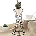 Tabletop Metal Air Plant Holder Stands Plant Containers Flower Racks (Black)thumb 1