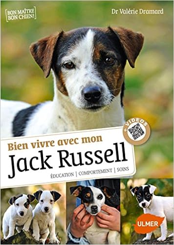 Bien Vivre Avec Mon Jack Russel Education Comportement