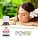 Grapefruit Essential Oil (Pink) 10 ml (0.33 fl. Oz.) - GCMS Tested, 100% Pure and Undiluted