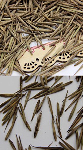 GIANT BAMBOO seeds - ca.100 Seeds/bag - Grows 8 to 10 meters in record speed - well suited as visibility or wind protection in the garden