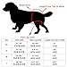 HE&HA PET Dog Diapers Female Washable XS Female Dog Padded Diaper Reusable Dog Sanitary Panties Set of 3