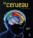 Le cerveau : A la conquête des hémisphères by