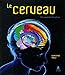 Le cerveau : A la conquête des hémisphères by
