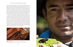 In Search of Lost Frogs: The Quest to Find the