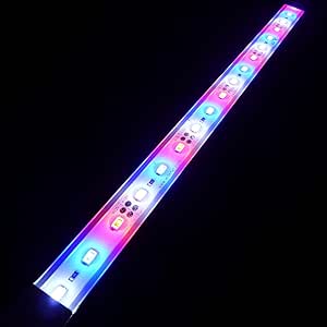 Amazon.com : LEDENET SMD 5730 Super Bright Aquarium Coral ...