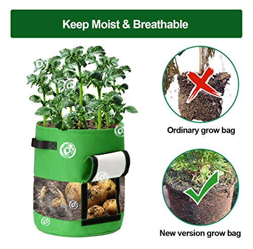 CAVEEN Potato Grow Bags, 2 Pack 10 Gallon Plant Growing Bags with Flap and Handles for Potato Tomato Carrot Onion