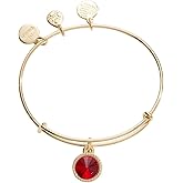 Alex and Ani Birthstones Expandable Bangle for Women, Birthday Crystal Charms, Shiny Finish, 2 to 3.5 in