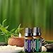 URbeauty Essential Oils, 6 Bottles Aromatherapy Essential Oil Diffuser Essential Oils 100% Pure Lavender, Peppermint, Sweet Orange, Eucalyptus, Tea Tree, Lemongrass Essential Oil Gift Set