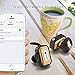 Proxelle Truly Wireless Earbuds V4.1 Bluetooth Noise Cancelling Hands-free Calling Sweatproof Headphones Build-in Mic For iPhone iPad, Smartphones Tablets, Laptop (Gold)