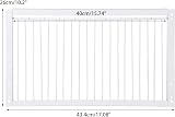 MOGOULUA 40cm Bird Cage Door Pigeon Entrance One-Way Gate Loft Coop White Iron view 5