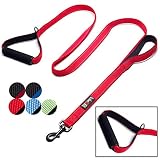 tobeDRI Heavy Duty Dog Leash - 2 Padded Handles, 6 feet Long - Dog Training Walking Leashes for Medium Large Dogs (Red)