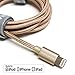 Tera Grand Apple MFi Certified - Lightning to USB Braided Cable with Aluminum Housing 4 ft. Gold