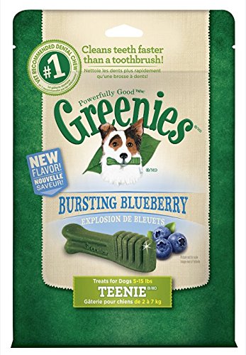 GN FLAVORS BLUEBERRY 12OZ TEENIE 43CT