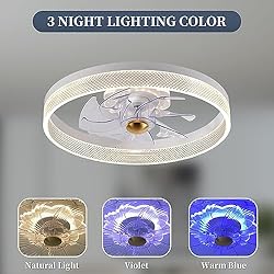 Fszdorj 20‘’ Ceiling Fan with Light, 2024