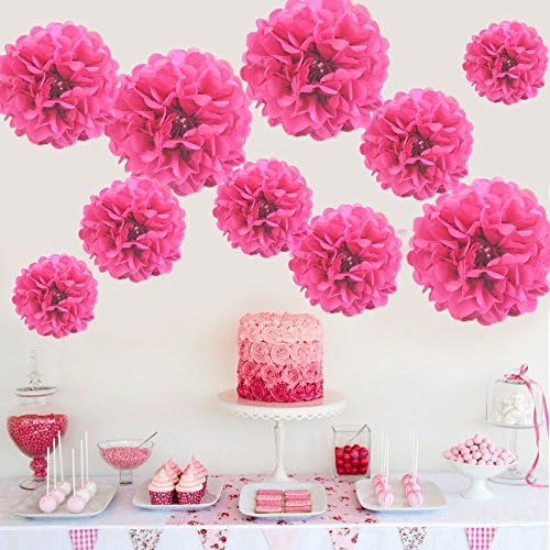 HKBAYI 10pcs/lot 10 inch 10" 25cm Hanging tissue paper pom pom flowers round fluffy balls for birthday baby shower wedding home party decorations supplies (10 inch, Hot pink)