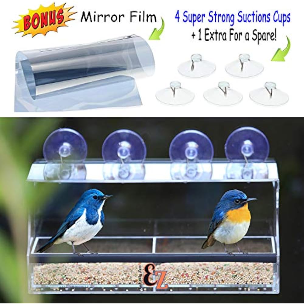 Window Bird Feeders Outside Come 2 Way Mirror Film 5 Strong