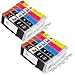 Sophia Global Compatible Ink Cartridge Replacement for PGI-255XXL and CLI-251XL (2 Large Black, 2 Small Black, 2 Cyan, 2 Magenta, 2 Yellow)