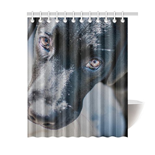 InterestPrint Shower Curtains Black Labrador Shower Curtain Bath Curtain Printed Waterproof fabric Polyester Curtains 60x72 inch
