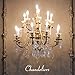 25 Pack Clear Christmas Light Bulbs, E12 Candelabra Base, 5 Watt for String Lights, Replacement C7 Incandescent Bulbs