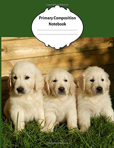 cute golden labrador