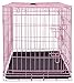 Internet's Best Wire Dog Kennel | Large (42 Inches) | Double Door Metal Steel Crates | Indoor Outdoor Pet Home | Folding and Collapsible Cage | Pink
