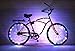 N&M Products Bike Wheel/Lights - Colorful Light Accessory for Bike - Perfect for Burning Man (Multicolor)
