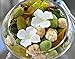 L&M Naturals Linen & Aloe Potpourri~ Our #1 selling Potpourri. This fresh, dewy, scent is perfect for any occasion. This soothing scent is essential to your home ~ Made in USA.