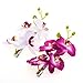 DreamLily Hawaiian Orchid Flower Hair Clips for Wedding Hair Brooch Hawaii Beach Wearing (White Purple)