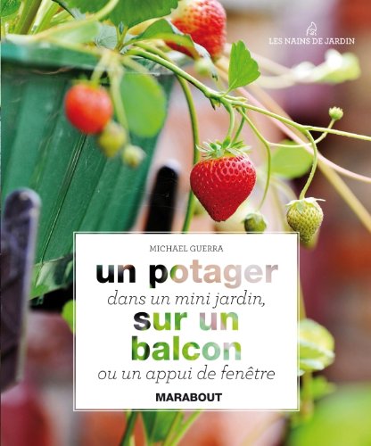 Un  potager dans un mini jardin, sur un balcon ou un appui de fenêtre