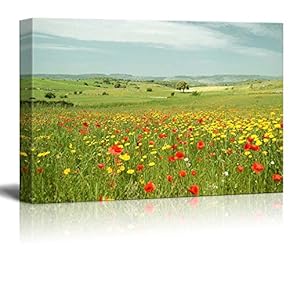 Beautiful Scenery Landscape Flowering Meadow with Poppies and Yellow Daisies - Canvas Art Wall Art - 12" x 18"