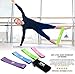 Skin-Friendly Non Latex Resistance Loop Bands Set 4 - Best Home Fitness Exercise Bands for Legs, Workout, Physical Therapy, Pilates, Yoga & Rehab - Mobility and Strength - 10in x 2in PGBP
