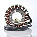 RMSTATOR Replacement for Stator Kawasaki Ninja ZX-12 R 2002 2003 | OEM Repl.# 21003-0011 21003-1391