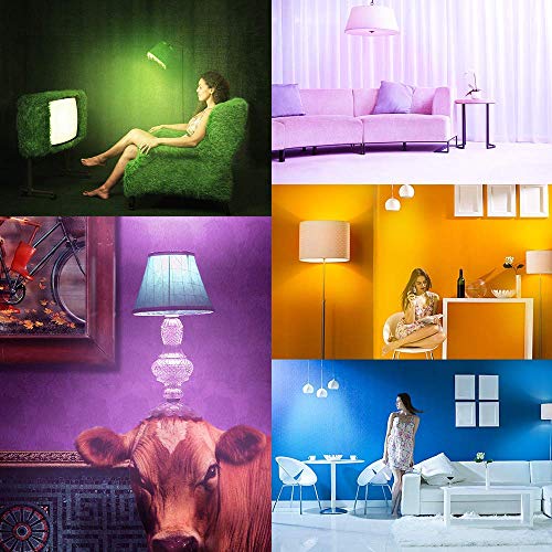 5 Konxie+Compatible+Assistant+Required+Sunrise