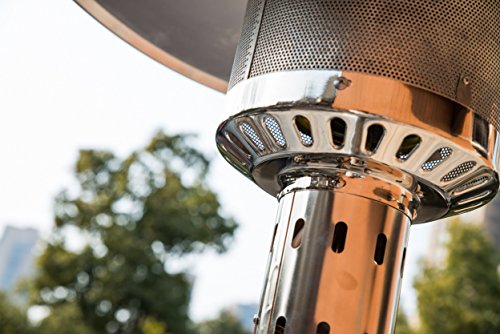 Legacy Heating 47,000 BTU Patio Heater, Stainless Steel