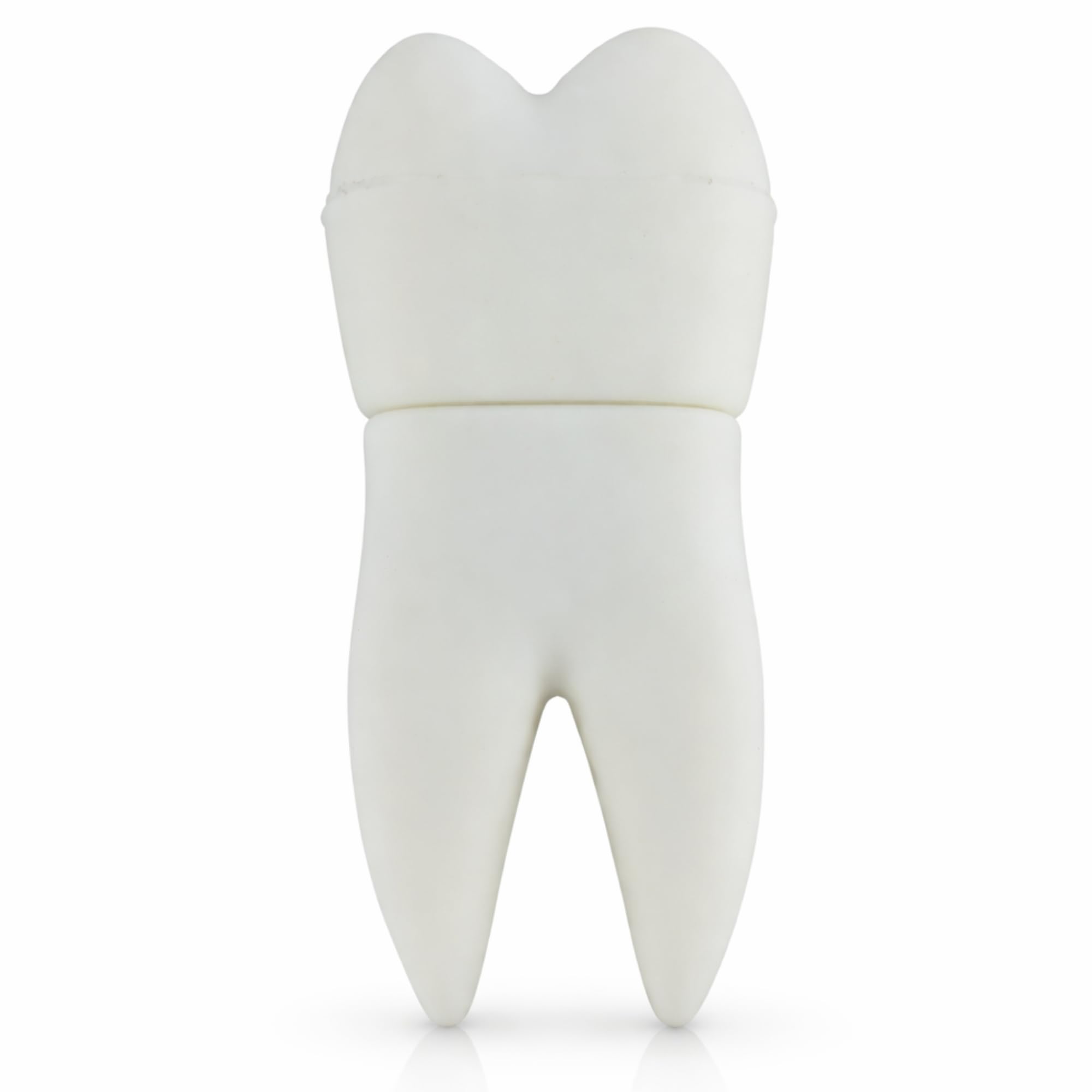 Tooth 8GB USB Dentist Hygienist Flash Pen Drive Memory Thumb Stick Data Storage White