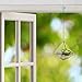 Clear Glass & Brass Tone Metal Faceted Hanging Air Plant Terrarium/Tea Light Candle Holder - MyGift