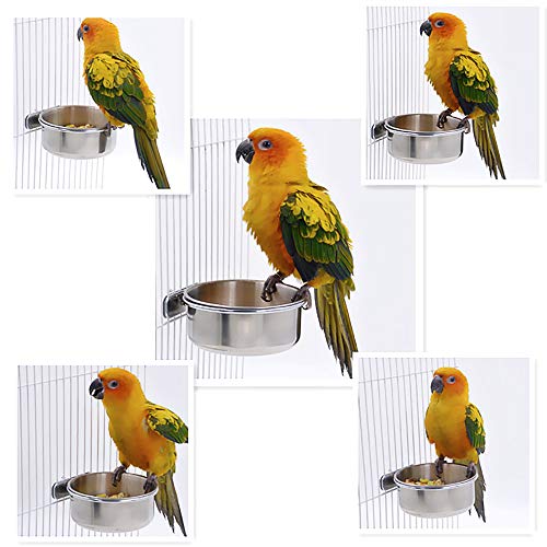 2 Pack Bird Cage Food Water Dispenser Parrot Food Dish Bird Feeder Cup for Cage, Stainless Steel Bird Food Holder Container for Parrot Macaws Ferret Parakeet Cockatiel Budgerigar - Thumbnail 6