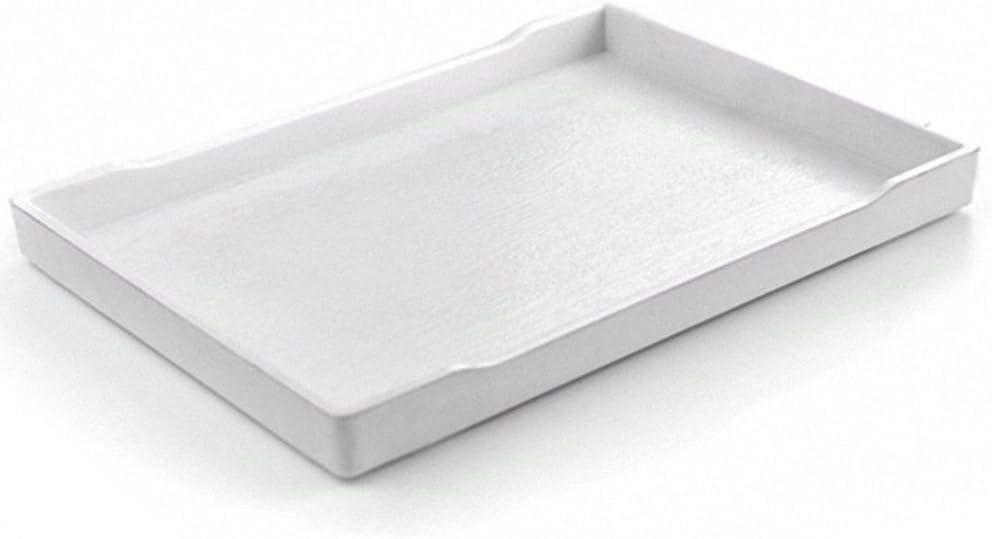 OMEM Reptile Bowl Large Food and Water Dish Also Fit for Bath