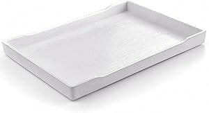 OMEM Reptile Bowl Large Food and Water Dish Also Fit for Bath