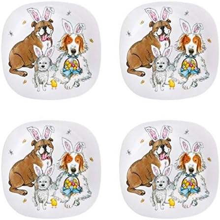 plates for dogs