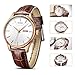 BUREI Men Fashion Ultra-Thin Quartz Watch Analog Dial with Day Date Rose Gold Stainless Steel Case Brown Leather Strap