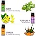 Natrogix Essential Oils 18 Pack 10ml Made in USA 100% Pure Natural Aromatherapy Essential Oil Set Essential Oils for Diffuser Humidifier Massage Hair Skin Care, w/Free E-Book