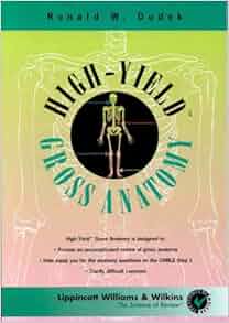 High Yield Gross Anatomy High Yield Series