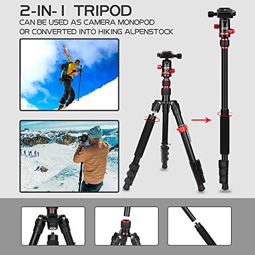 ZOMEi Camera Tripod Lightweight Travel Tripod Monopod 2 in 1 Portable Camera Tripod Stand with 360 Degree Ball Head, Remote Bluetooth and Phone Clip for Canon Nikon Sony GoPro DSLR SLR, Smartphone - Thumbnail 3